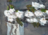 Kirschblütenzweig - 2012 - Aquarell - 28,6 x 37,8 cm